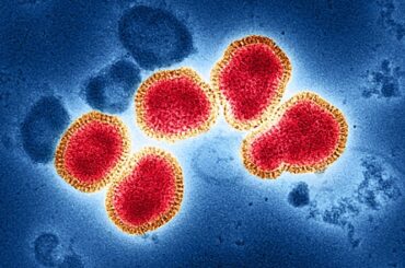 n3h2 influenza gripe