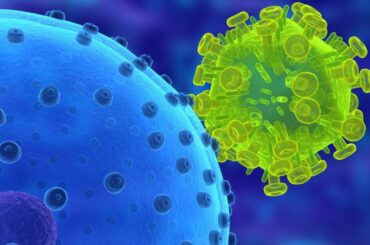 virus funcionamiento