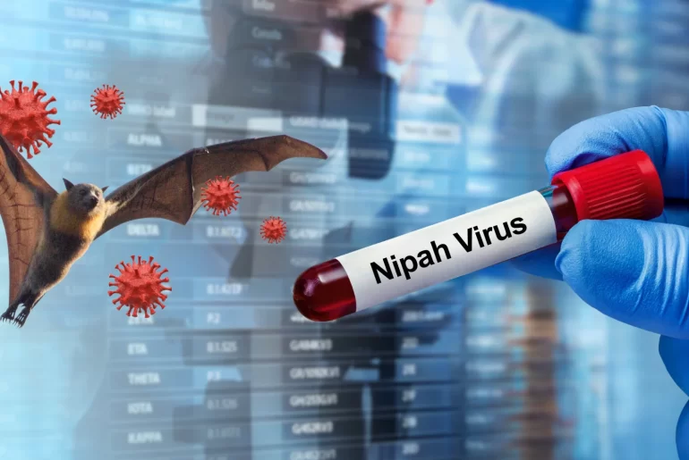 nipah vacuna corea